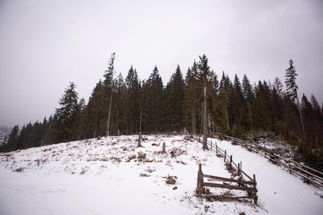 Kotedgi “ Druzi ” Villa Bukovel Luaran gambar